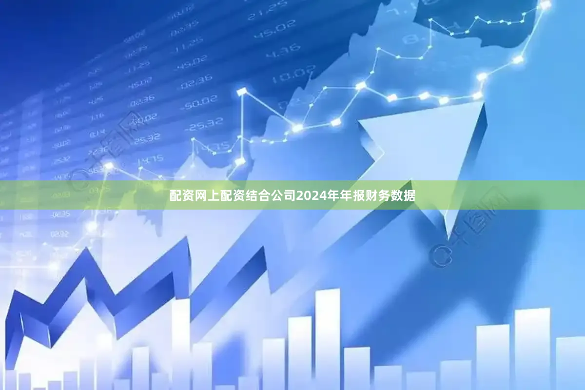 配资网上配资结合公司2024年年报财务数据